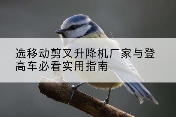 丰镇电动升降机厂家-选移动剪叉升降机厂家与登高车必看实用指南