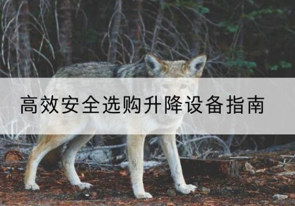 丰镇升降货梯厂家推荐-*安全选购升降设备指南