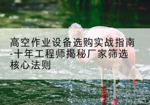丰镇剪叉式升降机厂家-高空作业设备选购实战指南-十年工程师揭秘厂家筛选核心法则